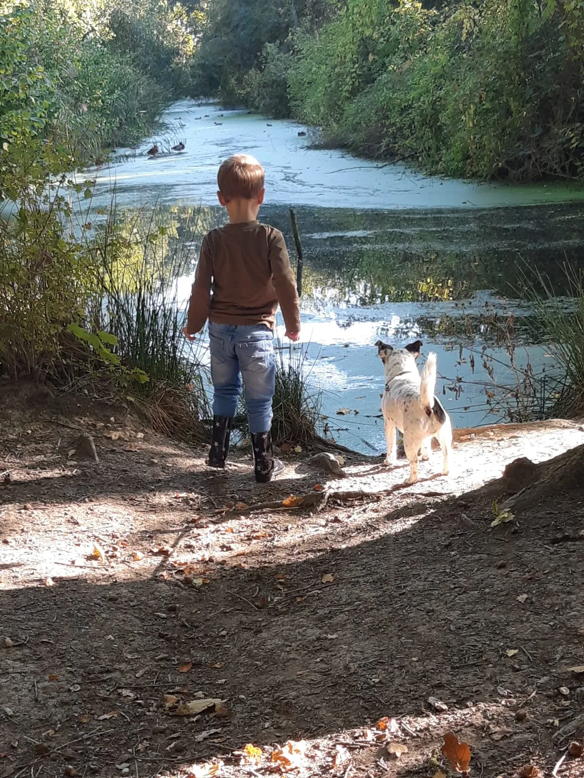 Little Explorer and His Canine Companion by the Pond Cross Stitch Pattern